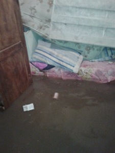 calle primaveral2