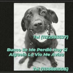 Fecha: 29 de agosto 2022 / Lugar: Entre Grand Bourg y Tierras Altas / Contacto: 11-2259-3527