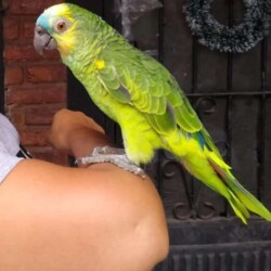 Lugar: Ecuador y Almirante Brown (Tortuguitas) / Contacto: 11-3674-9094