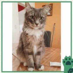 Nombre: Osvaldo / Fecha: Enero 2023 / Lugar: 4 de marzo 921 (Grand Bourg) / Contacto: 11-5041-5720